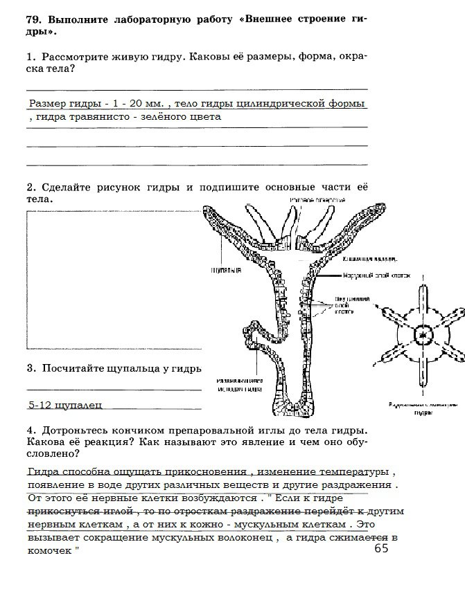 Кракен не грузит